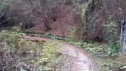 20201115_120322.jpg 20201115_120322.jpg