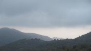 IMG_5333.JPG