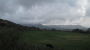 IMG_5335.JPG