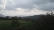 IMG_5336.JPG