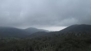 IMG_5341.JPG