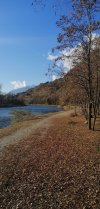 IMG_20201116_143337.jpg