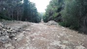 IMG_20201116_071359.jpg