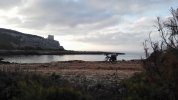 IMG_20201116_072002.jpg