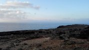 IMG_20201116_072155.jpg