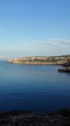 IMG_20201116_075233.jpg
