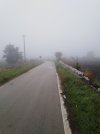 IMG_20201117_084308.jpg