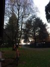 IMG_5460.jpg