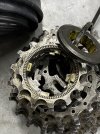 Pacco pignoni campagnolo super record 11v