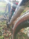 IMG_20201118_145658.jpg