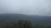 IMG_5342.JPG