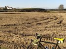 IMG_20201120_141609.jpg