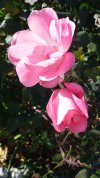 20201122_133927.jpg 20201122_133927.jpg