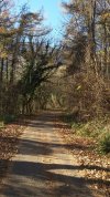 20201122_135215.jpg