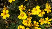 20201122_133513.jpg