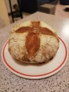 IMG_20201122_173515.jpg