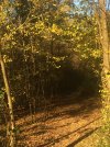 IMG_2190.JPG