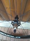 IMG_20201128_114316.jpg