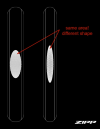 1606569878010.png