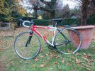 Colnago Arte donna