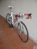 DSC00768.jpg