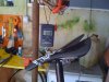 bici 001.jpg