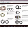 chainrings.jpg