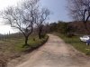 24032010322.jpg