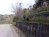 24032010327.jpg