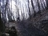 mtb5.jpg
