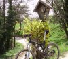 mtb7.jpg