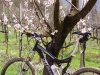 mtb9.jpg