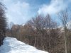 DSCF5066.jpg