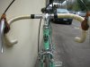 DSCN5586.jpg