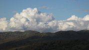 IMG_5440.JPG