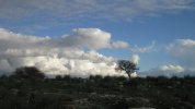 IMG_5447.JPG