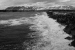 IMG_1077.jpg