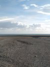 IMG_20201208_084424.jpg