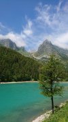 DSC_0437.JPG