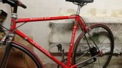 IMG_20201208_165026.jpg