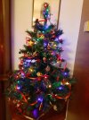 IMG-20201209-WA0007.jpg