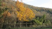 IMG_5521.JPG