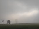 IMG_20201213_142130.jpg