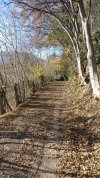 IMG_20201213_123205.jpg