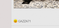 Immagine 2020-12-13 211342.png