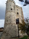 IMG_20201212_085955.jpg