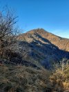 20201213_152520.jpg