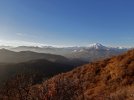 20201213_154302.jpg