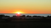 IMG_5550.JPG