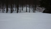 20201220_133752.jpg 20201220_133752.jpg
